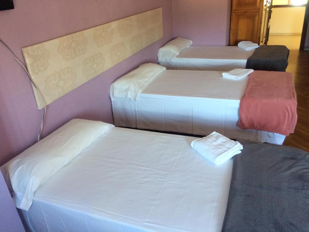 Albergue Hostal Telmo 图伊 外观 照片