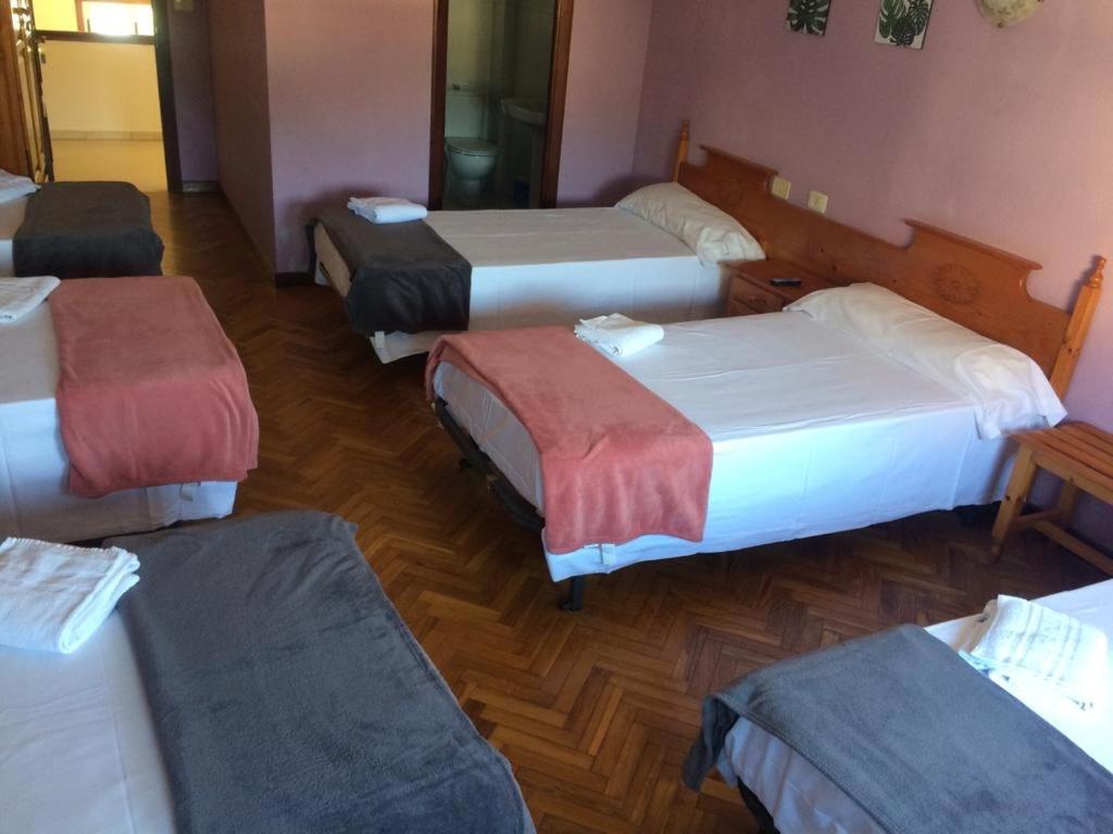 Albergue Hostal Telmo 图伊 外观 照片